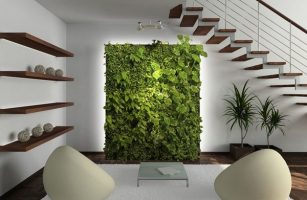 THIẾT KẾ VƯỜN TREO TƯỜNG ĐẸP MẮT